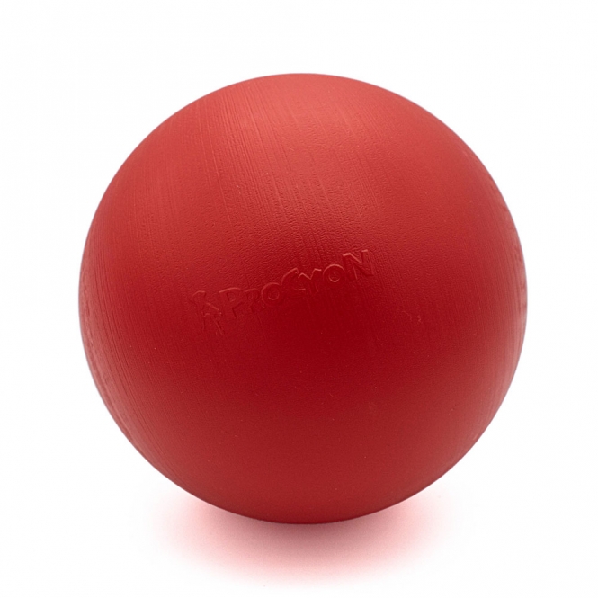 PROCYON Treibball Größe S - extra stabil