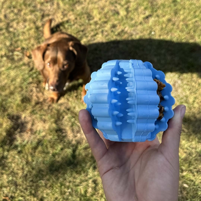 Duvoplus Ball Griplay Dental Rippe - Blau