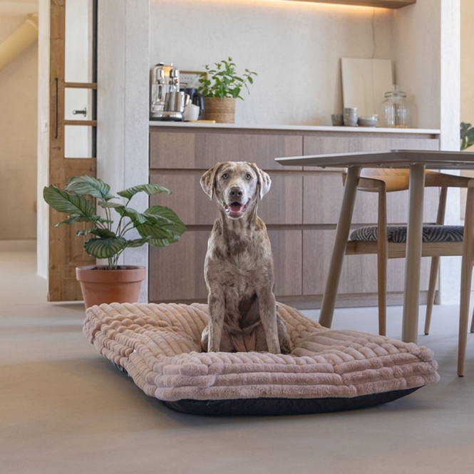 Designed by Lotte Hundekissen Reza - Rosa