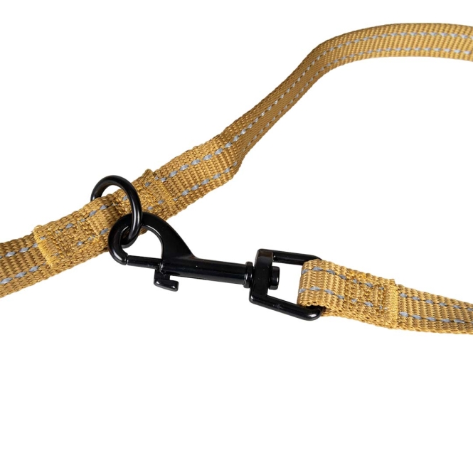 Duvoplus Trainingsleine EXPLOR Ultimate Fit Classic - honey gold - 220cm