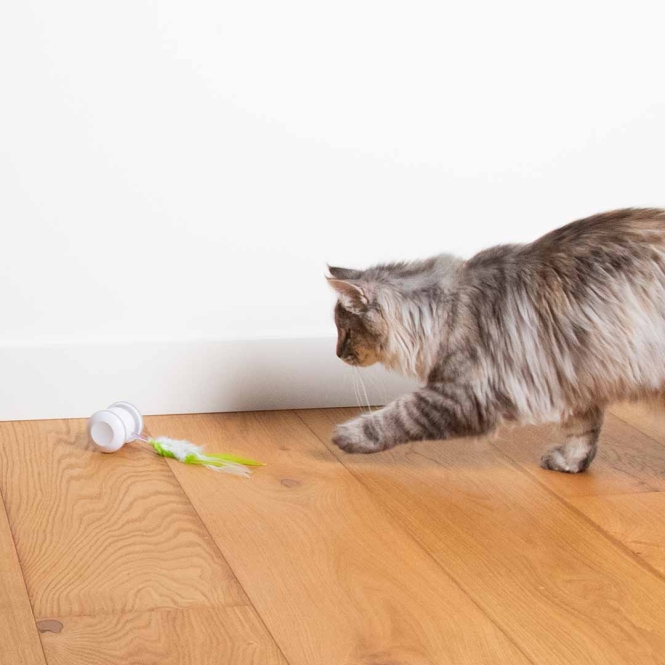 EBI Cat Toy Racing Roller