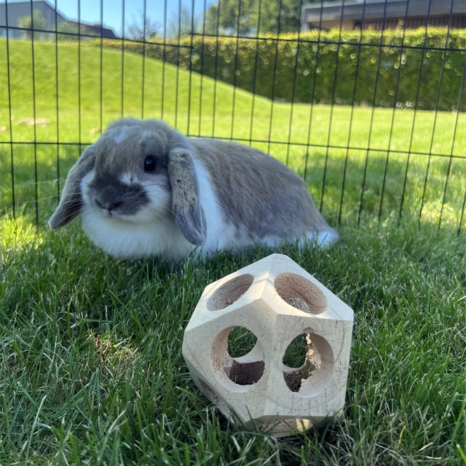 Duvoplus Holz-Spielball