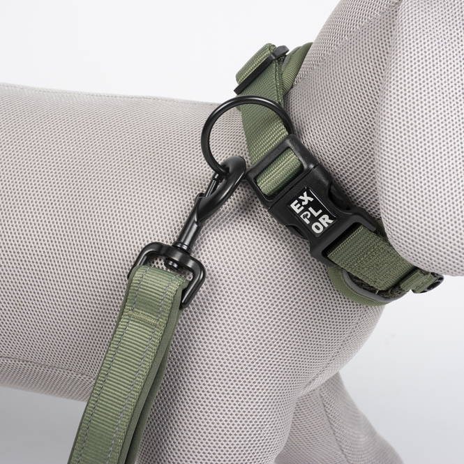 Duvoplus EXPLOR Ultimate Fit Control Halsband Classic - undercover green