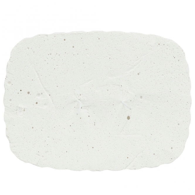 Trixie Pickstein mit Muscheln - 200 g