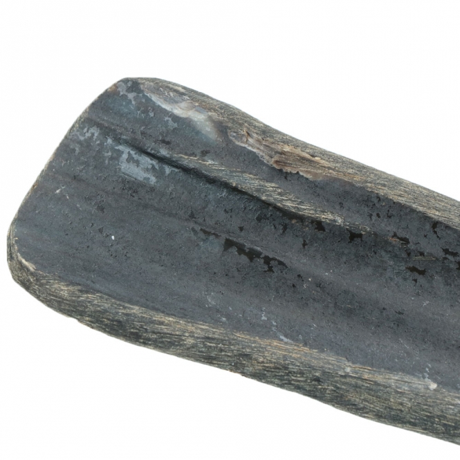 Viking half Horn