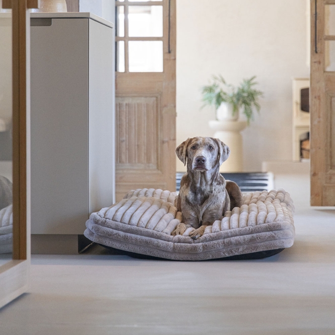 Designed by Lotte Hundekissen Reza - Beige