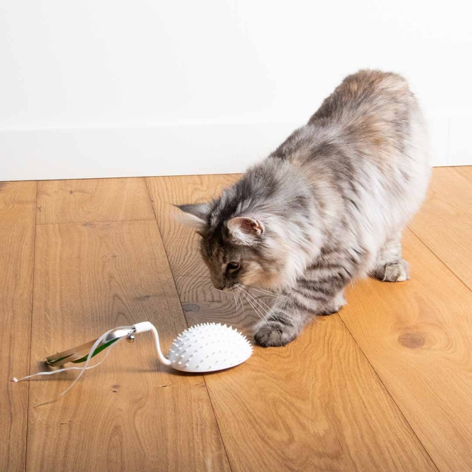 EBI Cat Toy Mouse on the move