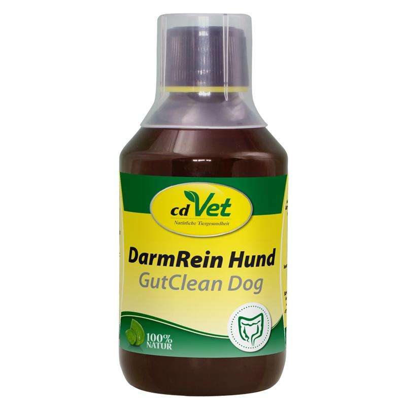 cdVet DarmRein Hund