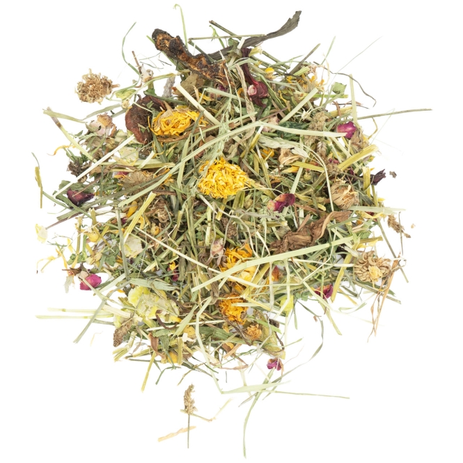 JR Farm Vital-Mix im Eimer 430g