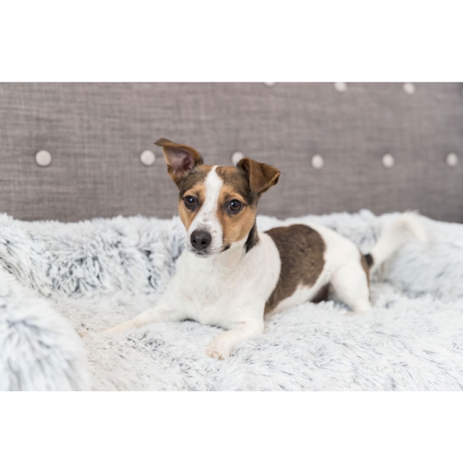 Trixie Polster-Schondecke Harvey