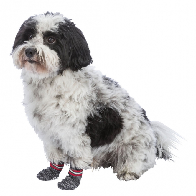 Trixie Hundesocken - Grau
