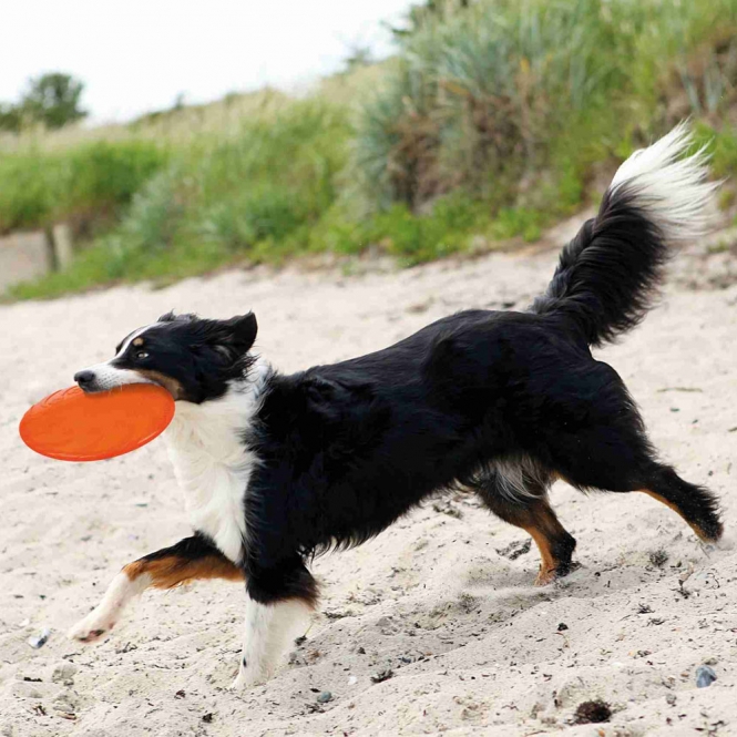 Trixie TPR Dog Disc, schwimmfähig