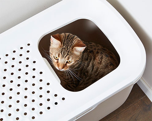 Savic Katzentoilette Hop In