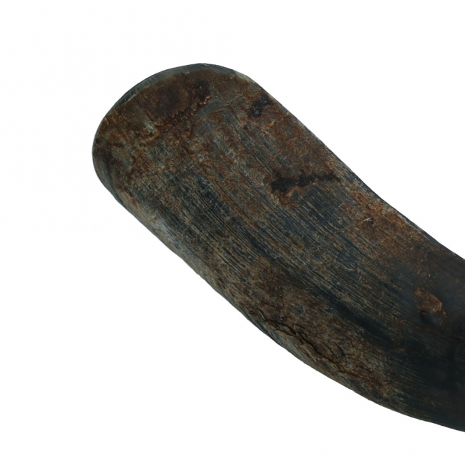 Viking half Horn