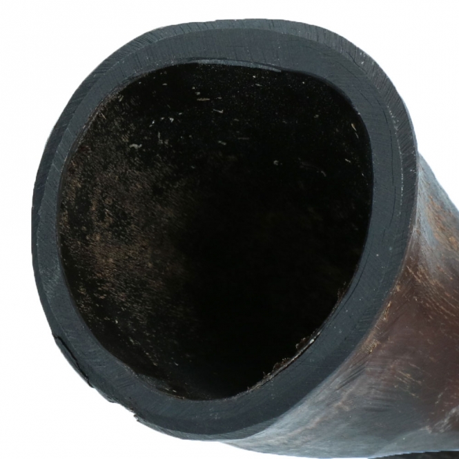 Viking Whole Horn