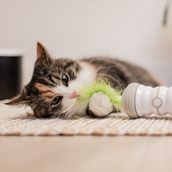 EBI Cat Toy Double Spinner - weiß/grün