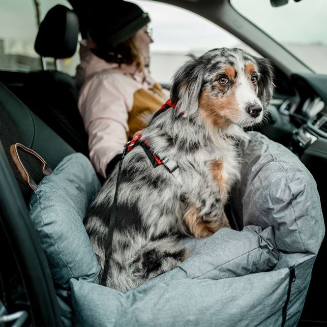 Nobby Autositz/Reisebett Bena - hellgrau