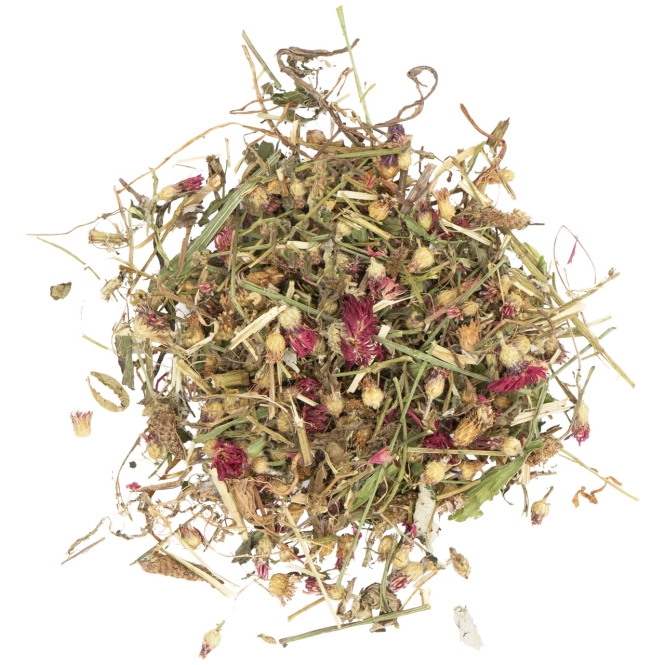 JR Farm Blüten-Zauber im Eimer 400g