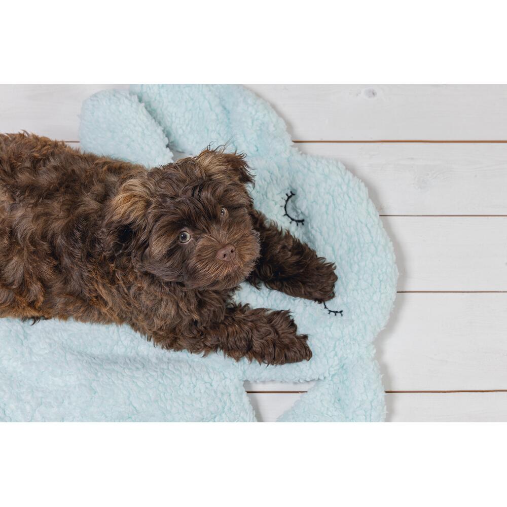 Beeztees Hundematte Welpe Pimba - hellblau