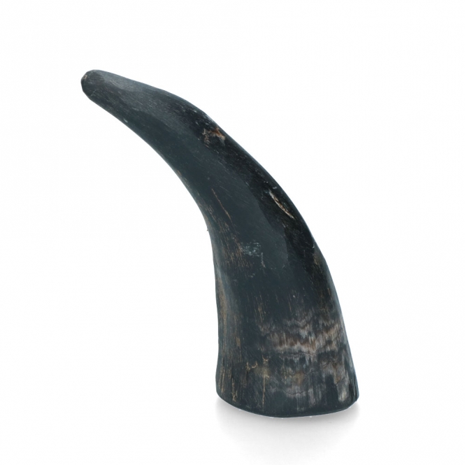Viking Whole Horn