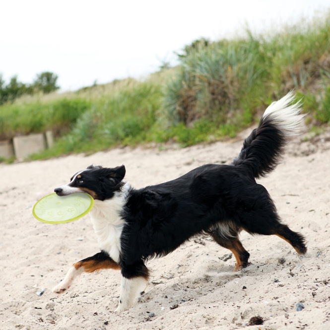 Trixie TPR Dog Disc, schwimmfähig
