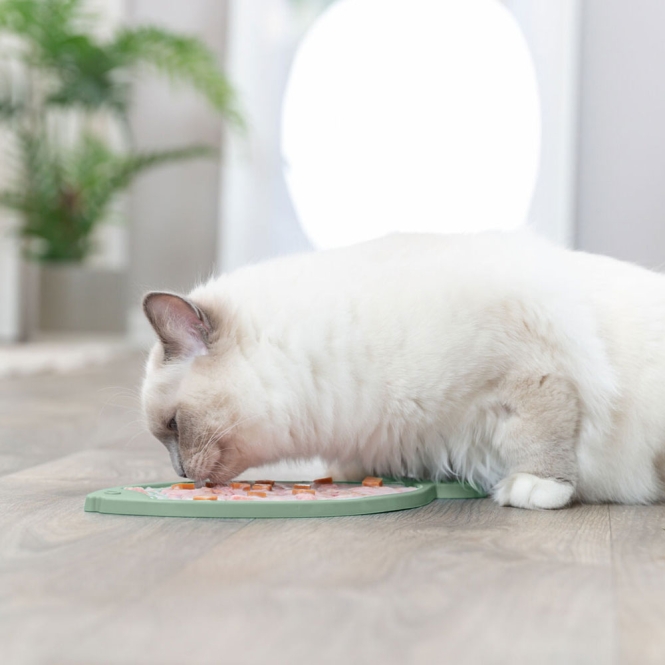Trixie Lick'n'Snack Matte Fisch für Katzen
