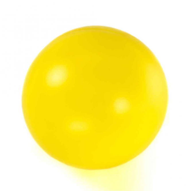 PROCYON Treibball