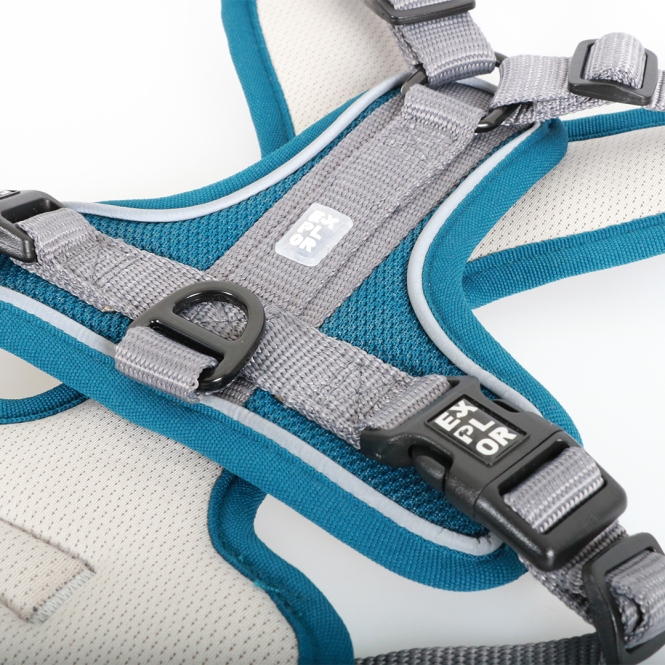 Duvoplus EXPLOR Ultimate Fit No-Pull-Geschirr - petrol blue