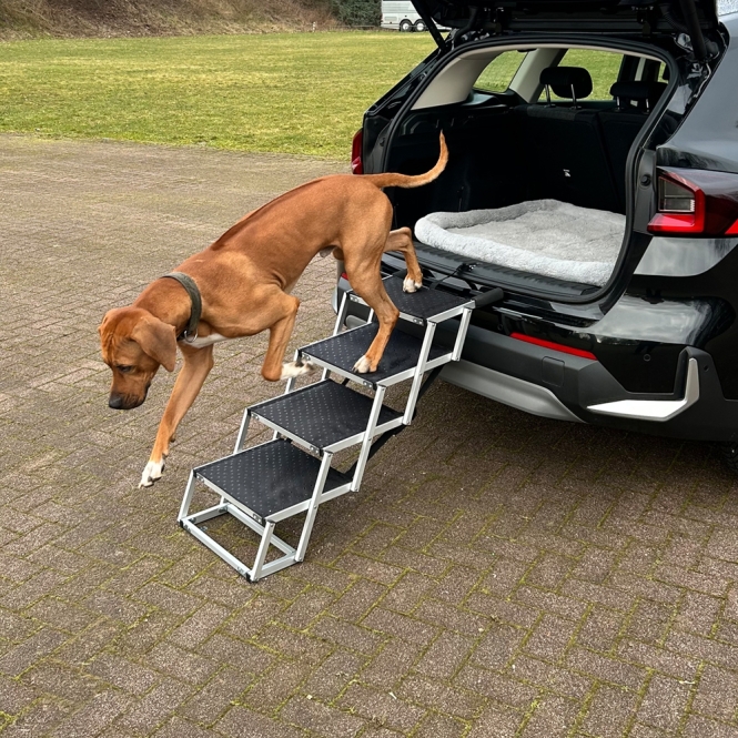 Nobby Aluminium Falt-Treppe - 4-stufig