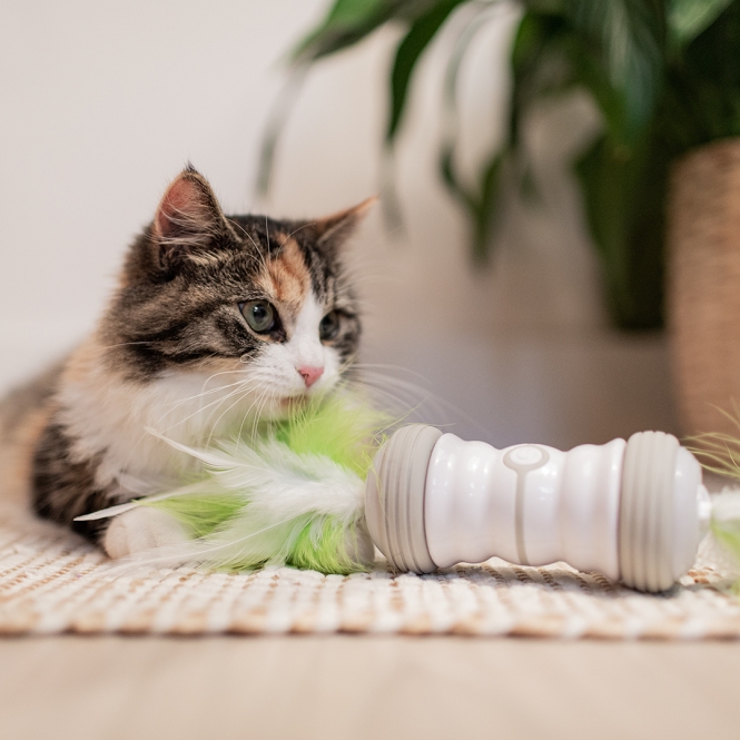 EBI Cat Toy Double Spinner - weiß/grün