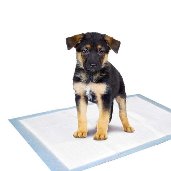 Karlie Flamingo Puppy Pads Trainingsmatten - 60 x 40 cm / 10 Stk